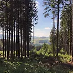 Waldwunder *