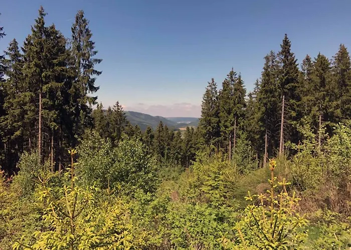 Appartement Waldwunder *